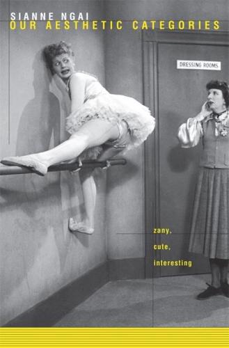 Our Aesthetic Categories Zany, Cute, Interesting