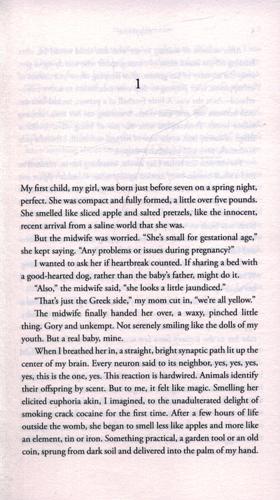 Happiness The Crooked Little Road to Semi-Ever After 5 Happiness The Crooked Little Road to Semi-Ever After