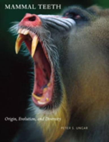 Mammal Teeth Origin, Evolution, and Diversity