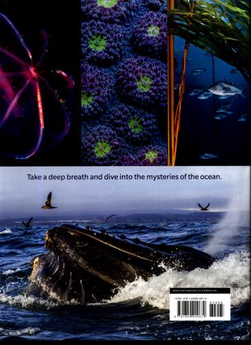 Blue Planet II A New World of Hidden Depths