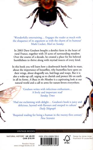 A Buzz in the Meadow