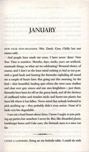 Jacob's Room Is Full of Books 4 Jacob's Room Is Full of Books