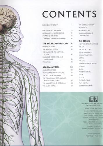 The Brain Book 4 The Brain Book