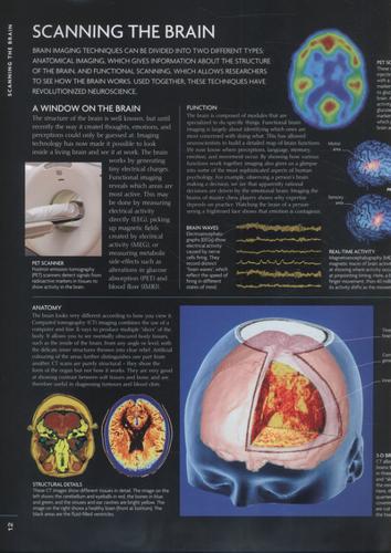 The Brain Book 6 The Brain Book