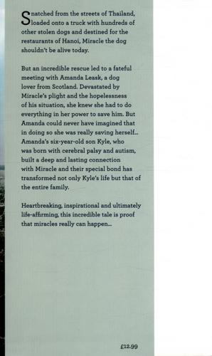 Miracle The Extraordinary Dog That Refused to Die 3 Miracle The Extraordinary Dog That Refused to Die