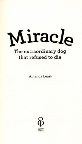 Miracle The Extraordinary Dog That Refused to Die 4 Miracle The Extraordinary Dog That Refused to Die