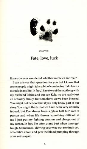 Miracle The Extraordinary Dog That Refused to Die 6 Miracle The Extraordinary Dog That Refused to Die