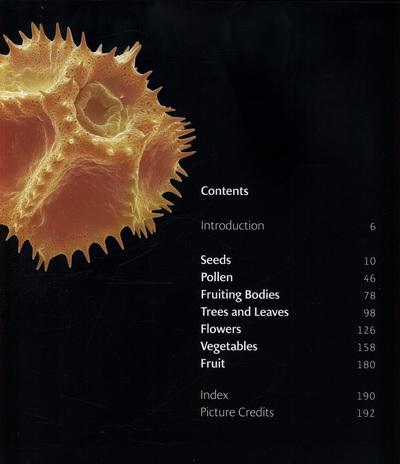 Science Is Beautiful Botanical Life Under the Microscope 4 Science Is Beautiful Botanical Life Under the Microscope